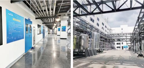 全市上半年綠色低碳高質量發展暨招商引資重點項目現場觀摩綜述 三