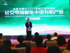 最新電商資訊新聞 魚擺擺網