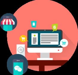 網上商城開發(fā),找新網塔科技開發(fā)公司