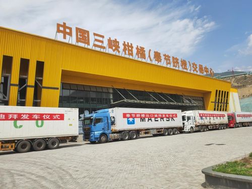 金橙飄香拓眼界 重慶奉節品牌添翼，促產業煥發新機