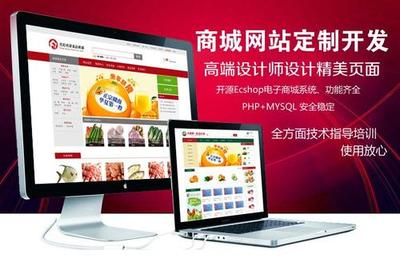 高級建設(shè)網(wǎng)站與商城定制開發(fā) 打造卓越的互聯(lián)網(wǎng)平臺